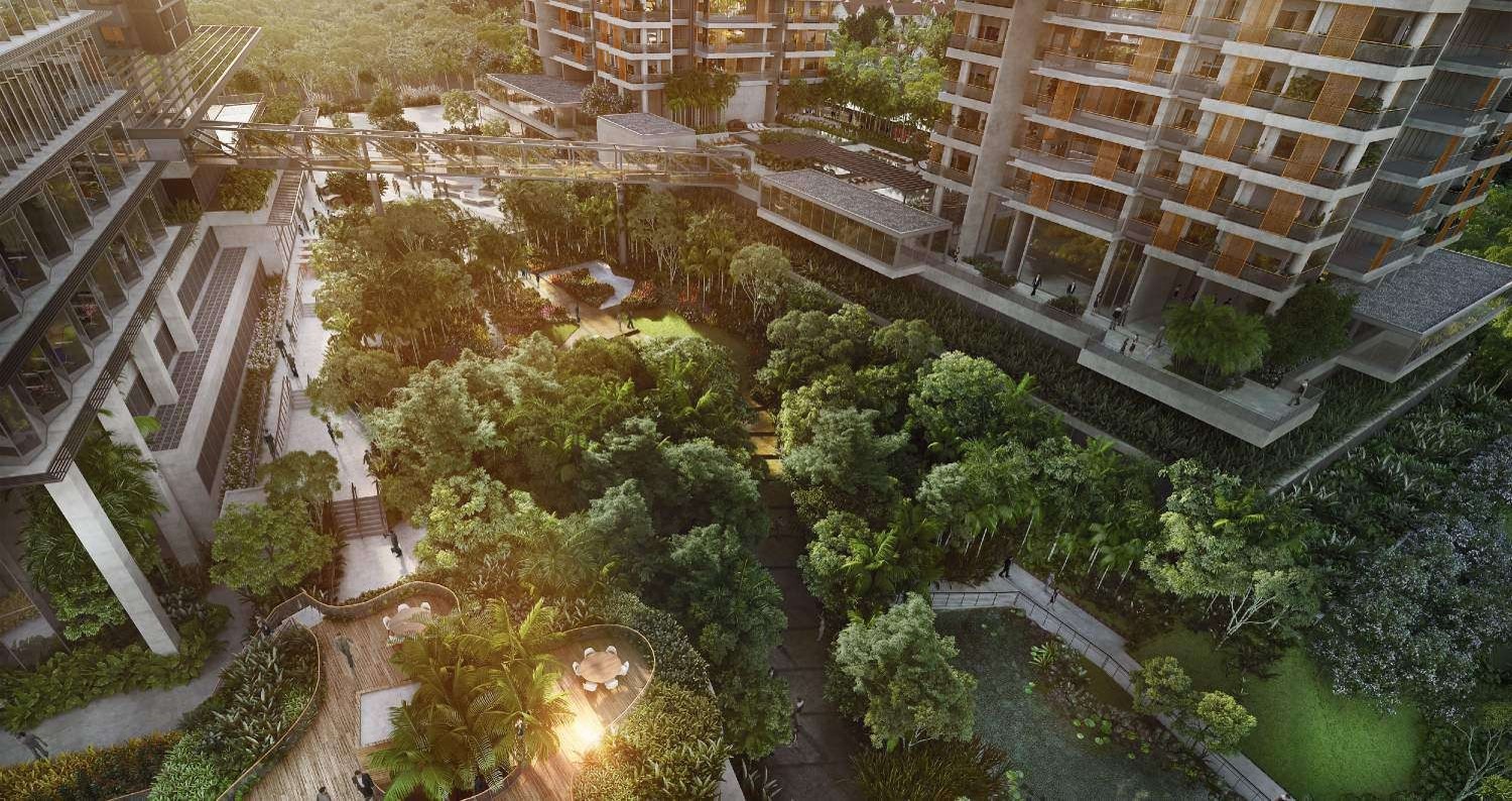 Parque com 10mil m² de mata atlântica